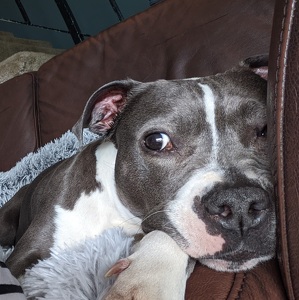 Fundraising Page: Triza Codillo